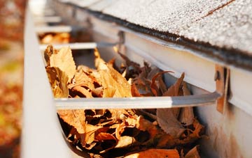 Low Newton gutter cleaning companies