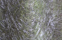 Low Newton fibreglass roof work